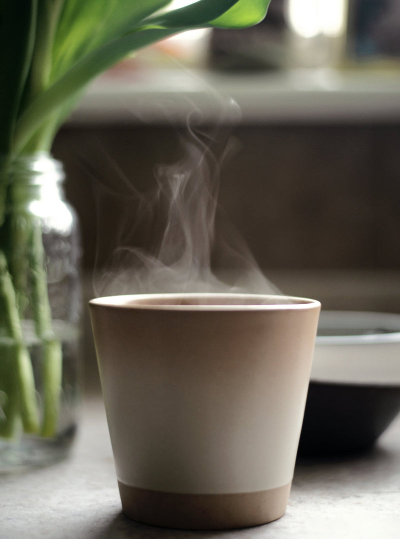 Daily Ritual Broth